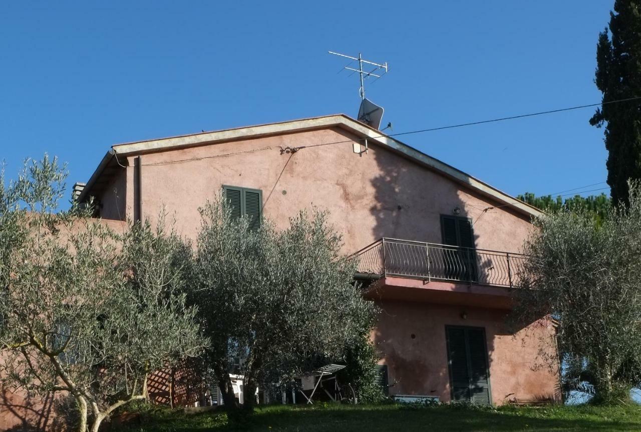 Tenuta De Fanti Agriturismo Bibbona Exterior photo
